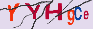 Codigo Captcha